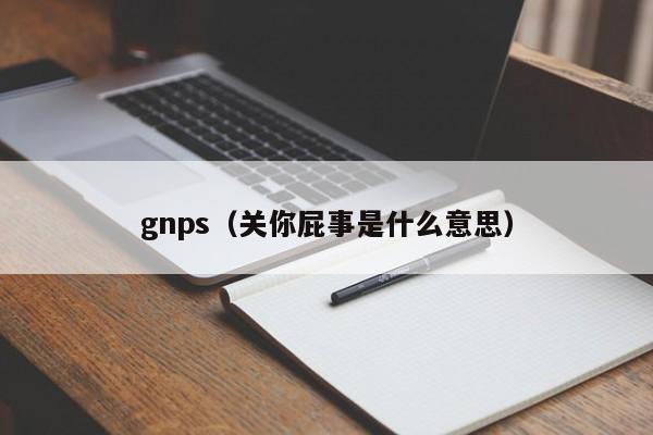 gnps（关你屁事是什么意思）