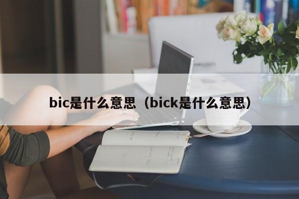 bic是什么意思（bick是什么意思）