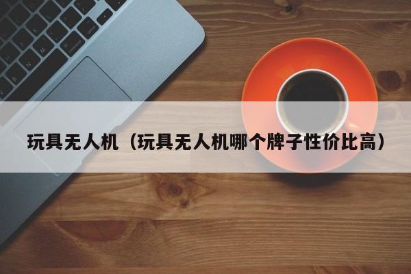 玩具无人机（玩具无人机哪个牌子性价比高）