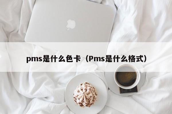 pms是什么色卡（Pms是什么格式）