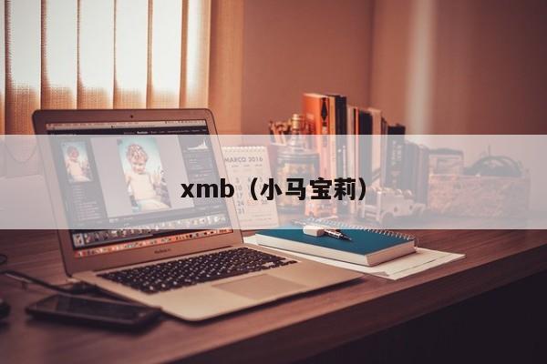 xmb（小马宝莉）