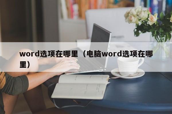 word选项在哪里（电脑word选项在哪里）