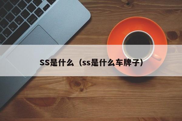 SS是什么（ss是什么车牌子）