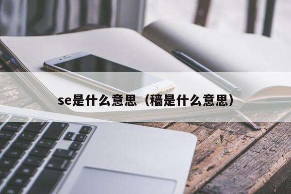 se是什么意思（穑是什么意思）