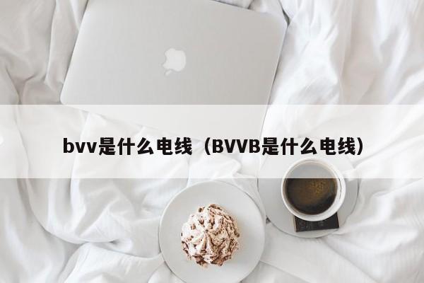 bvv是什么电线（BVVB是什么电线）