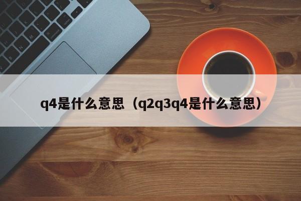 q4是什么意思（q2q3q4是什么意思）