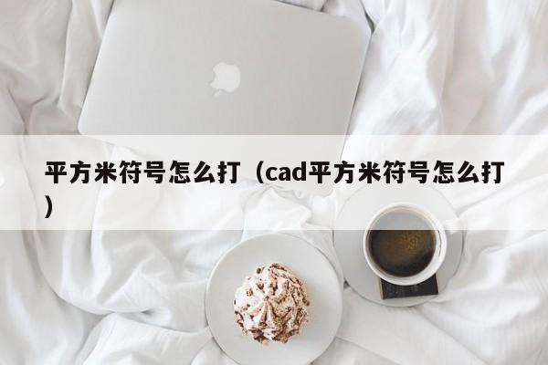 平方米符号怎么打（cad平方米符号怎么打）