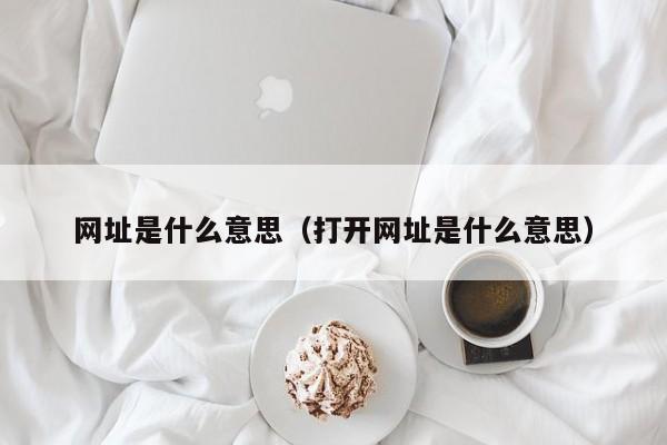 网址是什么意思（打开网址是什么意思）