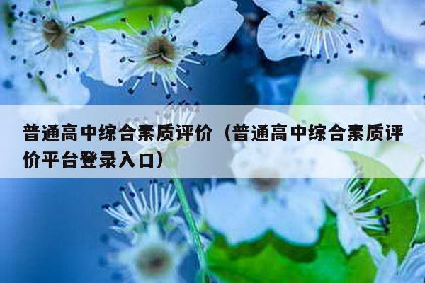 普通高中综合素质评价（普通高中综合素质评价平台登录入口）