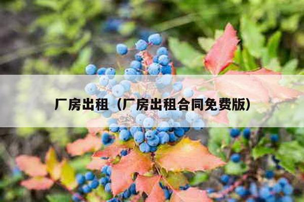 厂房出租（厂房出租合同免费版）