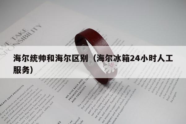 海尔统帅和海尔区别（海尔冰箱24小时人工服务）