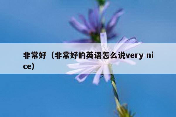 非常好（非常好的英语怎么说very nice）