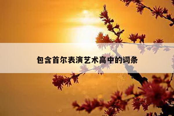 包含首尔表演艺术高中的词条