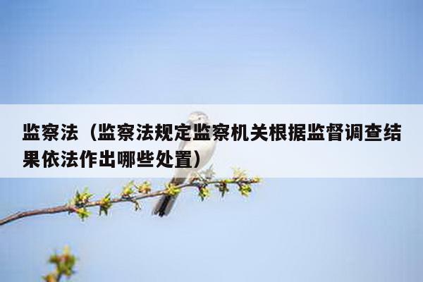 监察法（监察法规定监察机关根据监督调查结果依法作出哪些处置）