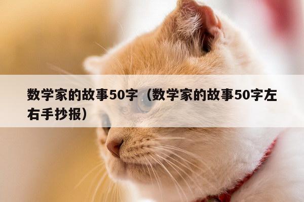 数学家的故事50字（数学家的故事50字左右手抄报）