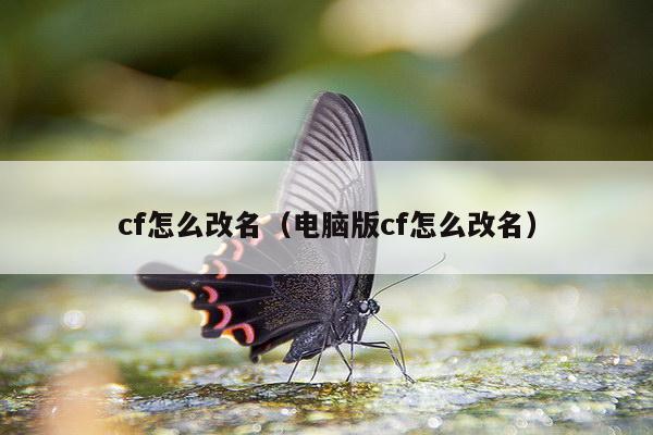 cf怎么改名（电脑版cf怎么改名）