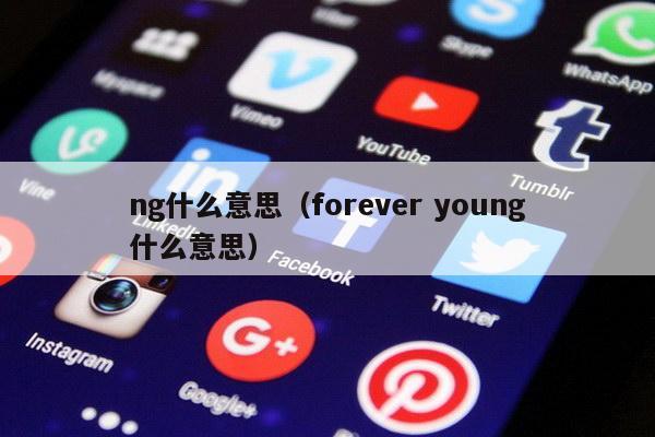 ng什么意思（forever young什么意思）