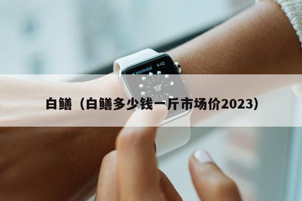 白鳝（白鳝多少钱一斤市场价2023）