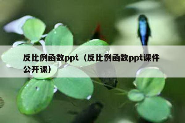 反比例函数ppt（反比例函数ppt课件 公开课）