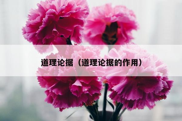 道理论据（道理论据的作用）