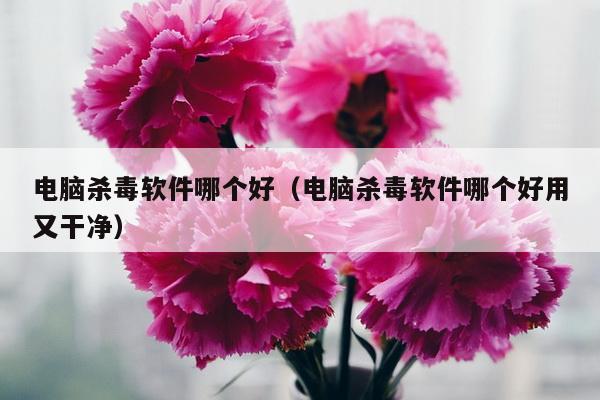 电脑杀毒软件哪个好（电脑杀毒软件哪个好用又干净）