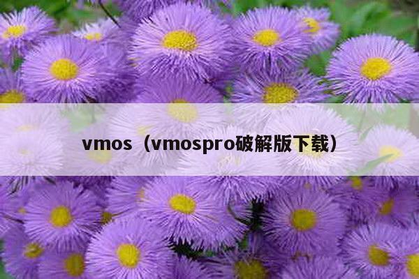 vmos（vmospro破解版下载）