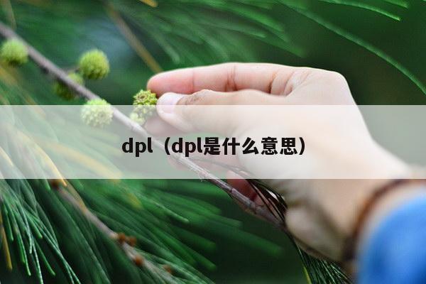 dpl（dpl是什么意思）