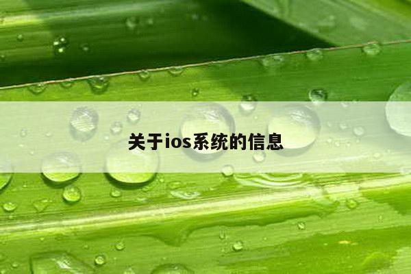 关于ios系统的信息