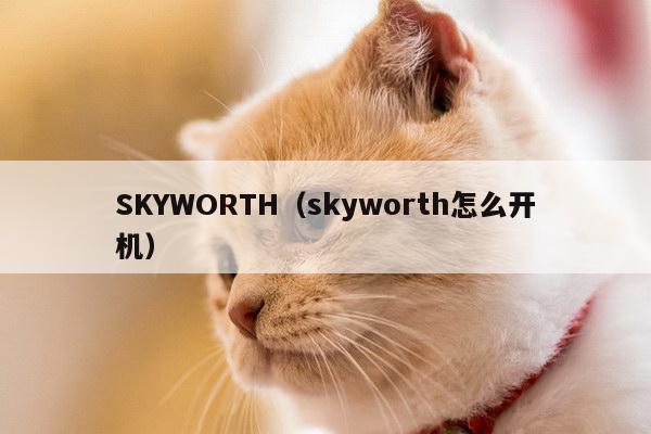 SKYWORTH（skyworth怎么开机）