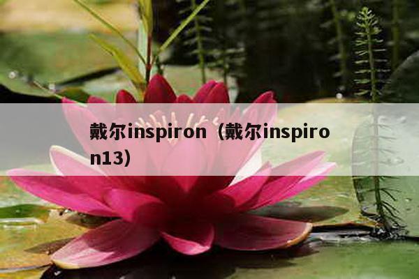 戴尔inspiron（戴尔inspiron13）