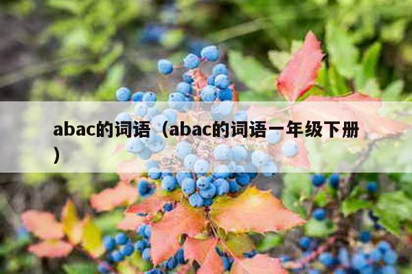 abac的词语（abac的词语一年级下册）