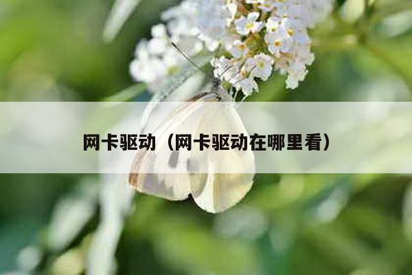 网卡驱动（网卡驱动在哪里看）