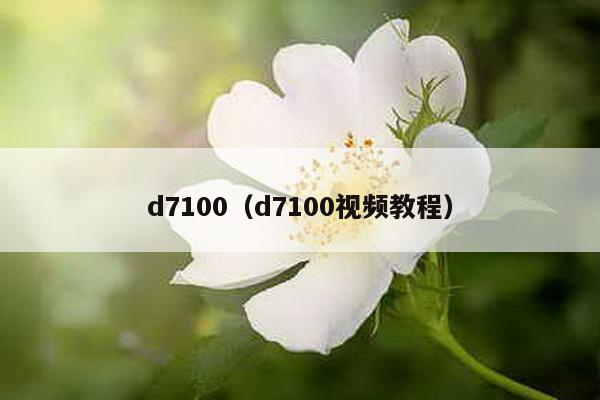 d7100（d7100视频教程）