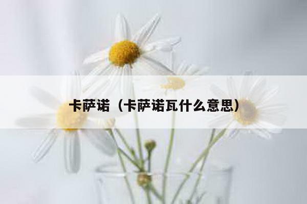 卡萨诺（卡萨诺瓦什么意思）