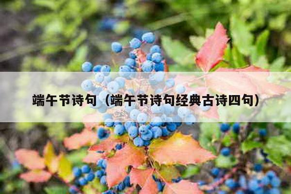 端午节诗句（端午节诗句经典古诗四句）