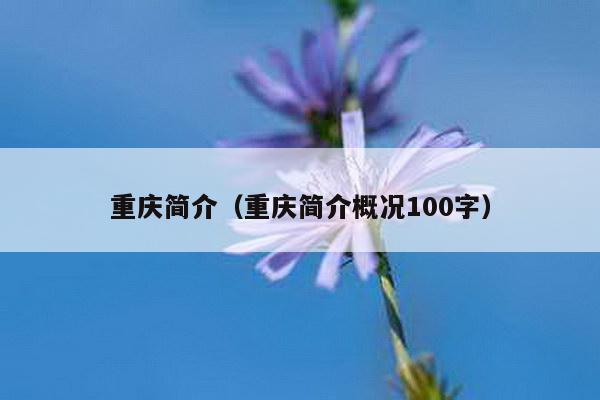 重庆简介（重庆简介概况100字）