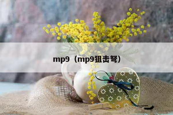 mp9（mp9狙击弩）