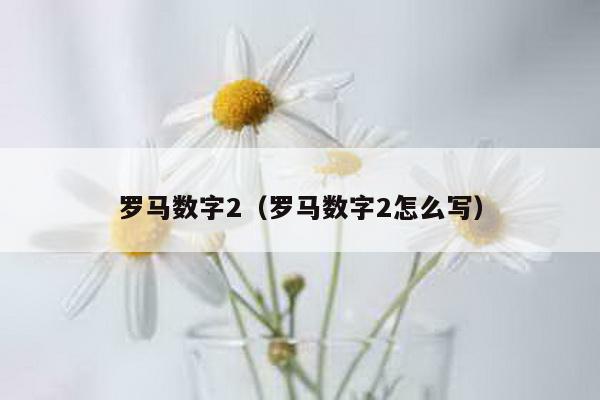 罗马数字2（罗马数字2怎么写）