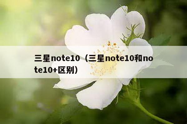 三星note10（三星note10和note10+区别）