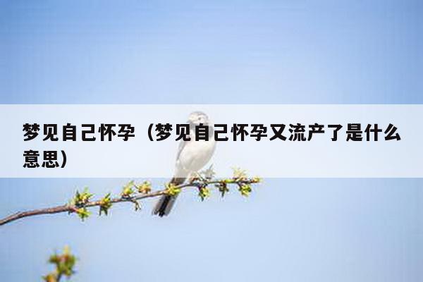 梦见自己怀孕（梦见自己怀孕又流产了是什么意思）