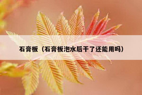 石膏板（石膏板泡水后干了还能用吗）