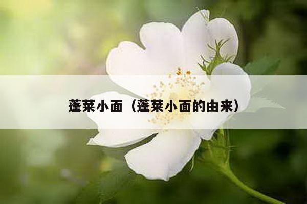 蓬莱小面（蓬莱小面的由来）