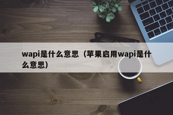 wapi是什么意思（苹果启用wapi是什么意思）