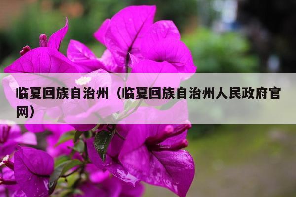 临夏回族自治州（临夏回族自治州人民政府官网）