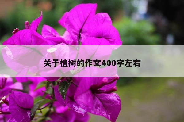 关于植树的作文400字左右