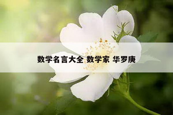 数学名言大全 数学家 华罗庚