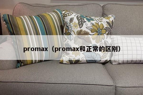 promax（promax和正常的区别）