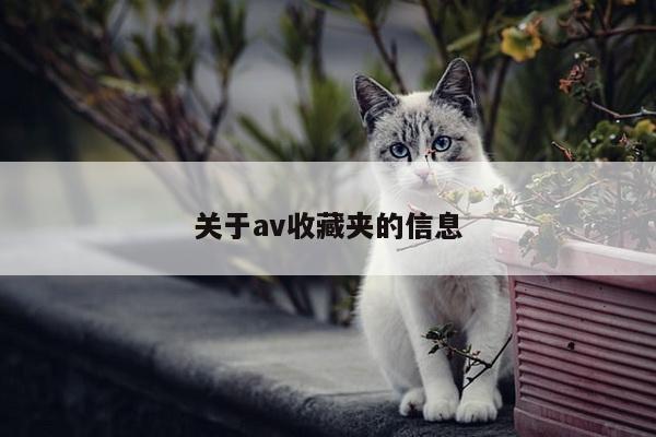 关于av收藏夹的信息