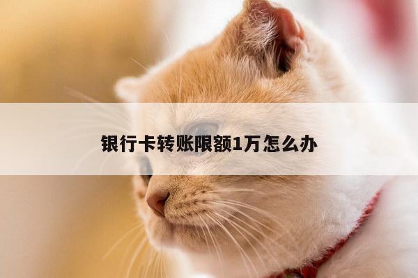 银行卡转账限额1万怎么办