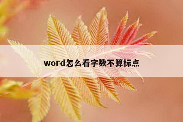 word怎么看字数不算标点